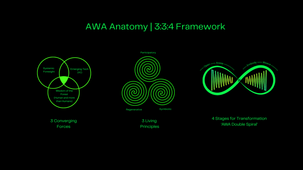AWA Anatomy | 3:3:4 Framework